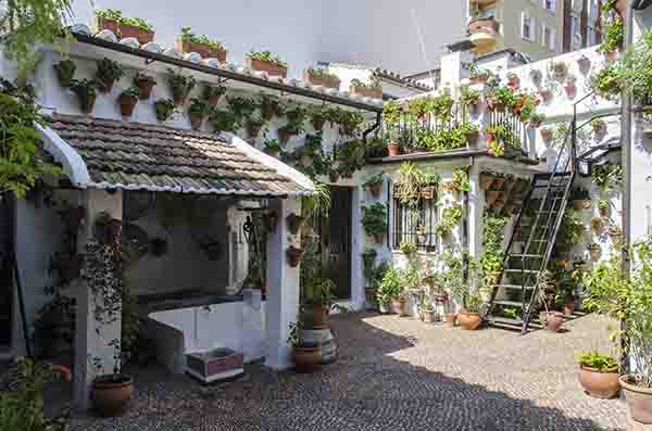 Córdoba 174 - barrio san Basilio - Patios del Alcazar Viejo - calle Martin de Roa 7.jpg